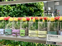-鹿岛生活(熙地港店)