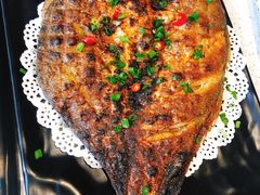 -九府羊·鲜羊火锅·烤串(新华路店)