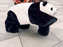 -无锡动物园·太湖欢乐园