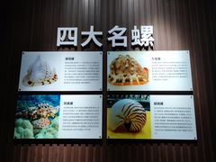 -贝壳王国博物馆