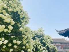 -常熟方塔园