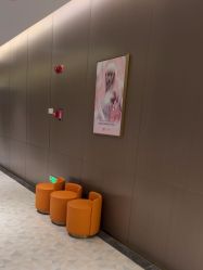 点击看大图 -深圳米兰柏羽医疗美容医院