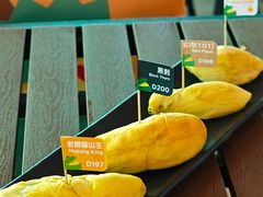 -榴莲BB 四季果园