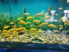 -泉州海丝野生动物世界