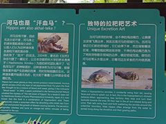 -海南热带野生动植物园