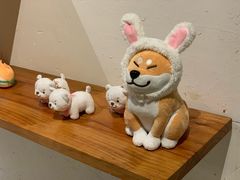 -柴务处·柴犬主题狗咖