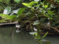 -兰亭风景区
