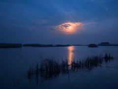 -太湖湖滨国家湿地公园-停车场