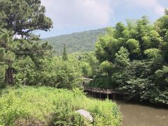 -宝岩生态观光园