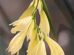 -北京植物园-展览温室