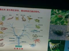 -上海昆虫博物馆