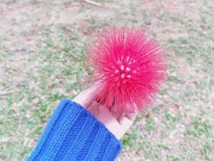 -白沙门生态公园