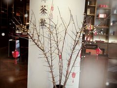 -王德传茶庄(上海新天地店)