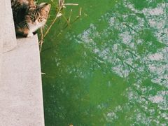 -南山风景名胜区