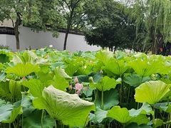 -丝绸小镇荻港古村