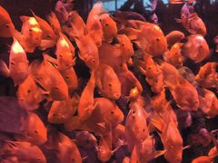 -北京海洋馆