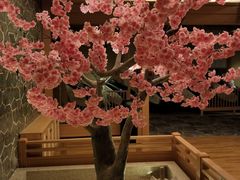 -蓝鲸湾汤泉(包河店)