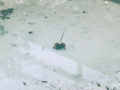 -北海金海湾红树林生态旅游区