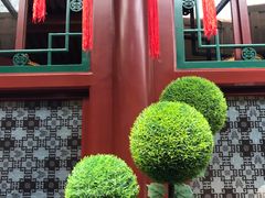 -阿西娅食府(中关村店)