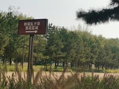 -汉长安城未央宫国家考古遗址公园