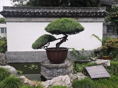 -水绘园