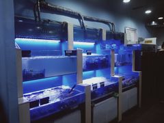 水产区-老虎滩大连海鲜烧烤(建邺云锦路总店)