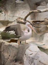 -Zoolung Zoolung动物主题公园(海信广场店)