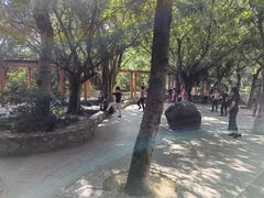 -燕晗山郊野公园