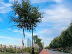 -哈尔滨音乐公园