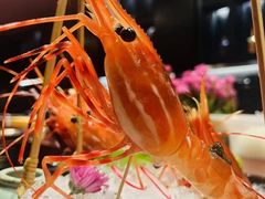-鮨匠·割烹料理(巨鹿花园店)