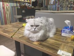 -小时光咖啡馆(开森度假森林店)