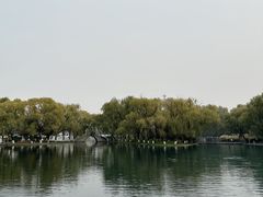 -百脉泉景区
