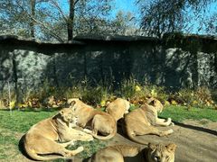-北京野生动物园