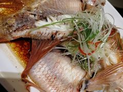 红斑鱼-同庆楼(滨湖万达广场店)