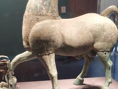 -广西壮族自治区博物馆