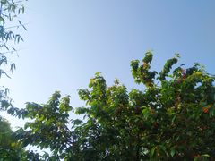 -贵阳市花溪国家城市湿地公园
