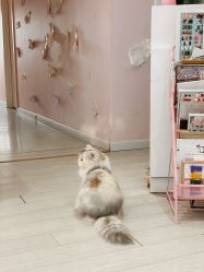 -Beauty Nails 美甲美睫皮肤管理