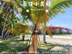 -东郊椰林