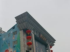 -芙蓉国粹川剧变脸秀(省川剧院)
