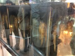 -一代烤翅王(大汉口店)