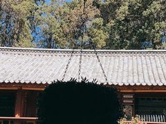 -寂照庵