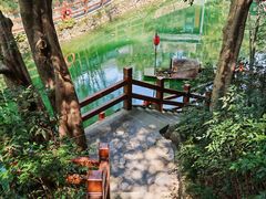 -十八棵（老龙井）御茶园(老龙井店)