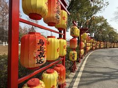 -武汉园博园(武汉自然博物馆)