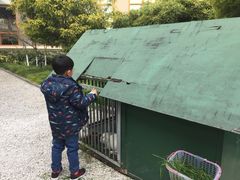 -成都安仁福朋喜来登酒店