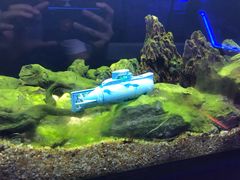 -MOJO密室逃脱(中街旗舰店)