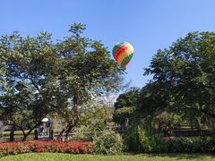 -中国科学院西双版纳热带植物园