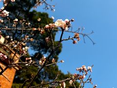 -草庵摩尼教遗址公园