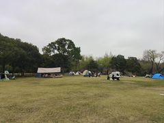 -上海滨江森林公园