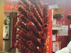 -和禄德冰糖葫芦