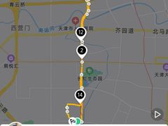-桃花堤公园